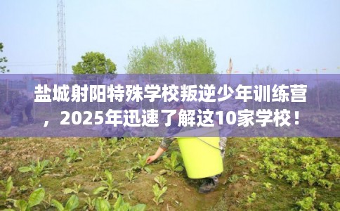 盐城射阳特殊学校叛逆少年训练营，2025年迅速了解这10家学校！
