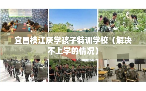 宜昌枝江厌学孩子特训学校(解决不上学的情况) 宜昌枝江厌学孩子特训学校(解决不上学的情况)