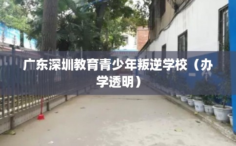 广东深圳教育青少年叛逆学校(办学透明) 广东深圳教育青少年叛逆学校(办学透明)