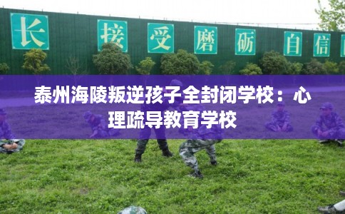 泰州海陵叛逆孩子全封闭学校：心理疏导教育学校