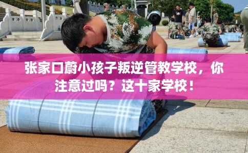 张家口蔚小孩子叛逆管教学校，你注意过吗？这十家学校！