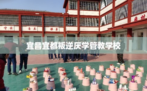 宜昌宜都叛逆厌学管教学校 宜昌宜都叛逆厌学管教学校