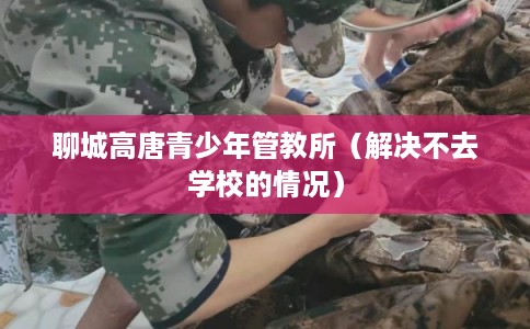 聊城高唐青少年管教所(解决不去学校的情况) 聊城高唐青少年管教所(解决不去学校的情况)