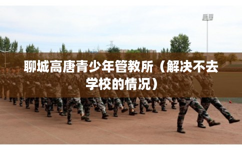 聊城高唐青少年管教所(解决不去学校的情况) 聊城高唐青少年管教所(解决不去学校的情况)