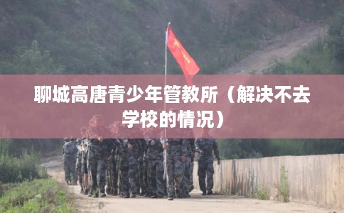 聊城高唐青少年管教所(解决不去学校的情况) 聊城高唐青少年管教所(解决不去学校的情况)