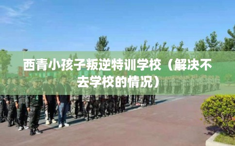 西青小孩子叛逆特训学校（解决不去学校的情况）