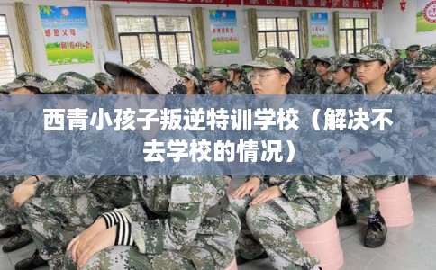 西青小孩子叛逆特训学校（解决不去学校的情况）