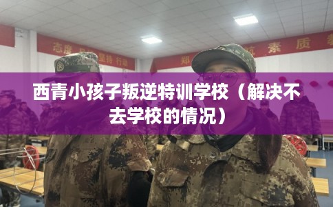 西青小孩子叛逆特训学校（解决不去学校的情况）