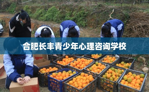 合肥长丰青少年心理咨询学校 合肥长丰青少年心理咨询学校