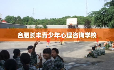 合肥长丰青少年心理咨询学校 合肥长丰青少年心理咨询学校