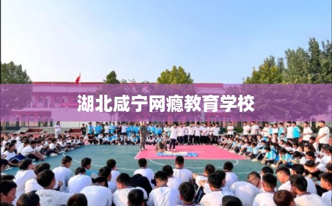 湖北咸宁网瘾教育学校