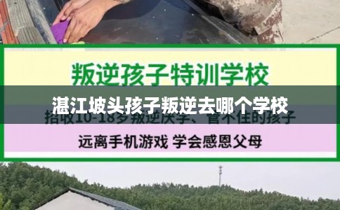 湛江坡头孩子叛逆去哪个学校