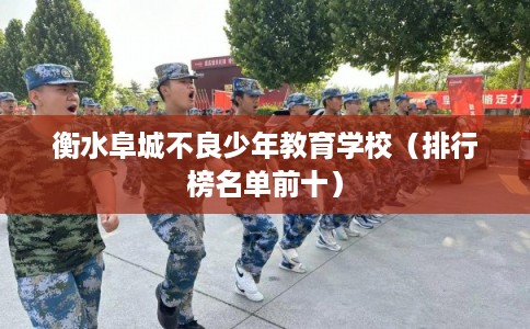 衡水阜城不良少年教育学校（排行榜名单前十）