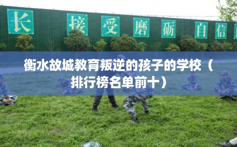 衡水故城教育叛逆的孩子的学校(排行榜名单前十) 衡水故城教育叛逆的孩子的学校(排行榜名单前十)