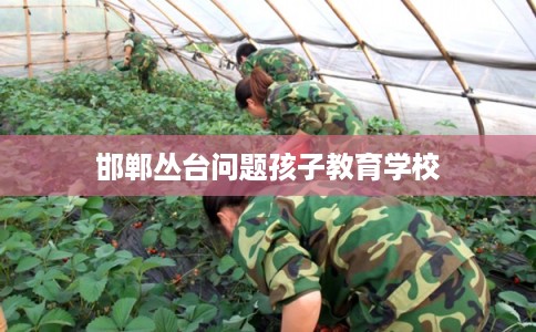 邯郸丛台问题孩子教育学校