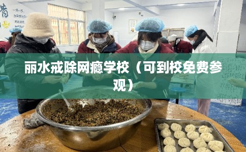 丽水戒除网瘾学校（可到校免费参观）