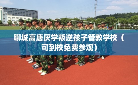 聊城高唐厌学叛逆孩子管教学校(可到校免费参观) 聊城高唐厌学叛逆孩子管教学校(可到校免费参观)