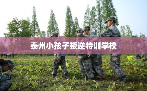 泰州小孩子叛逆特训学校 泰州小孩子叛逆特训学校