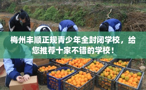 梅州丰顺正规青少年全封闭学校，给您推荐十家不错的学校！