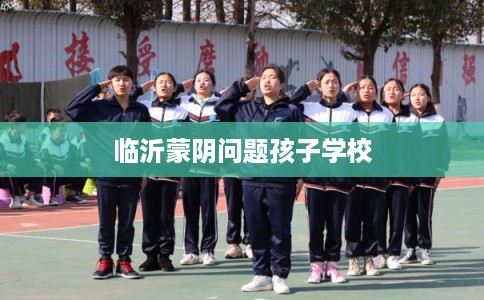 临沂蒙阴问题孩子学校