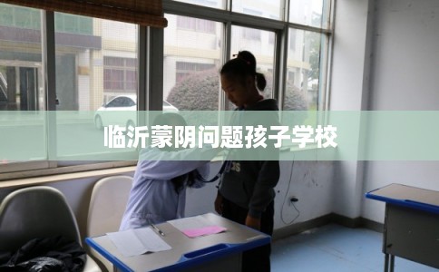 临沂蒙阴问题孩子学校