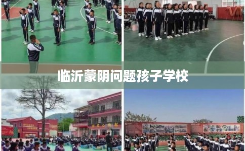 临沂蒙阴问题孩子学校