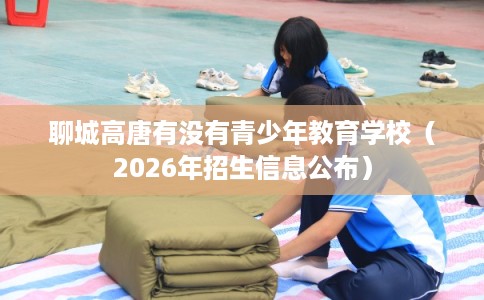 聊城高唐有没有青少年教育学校(2026年招生信息公布) 聊城高唐有没有青少年教育学校(2026年招生信息公布)