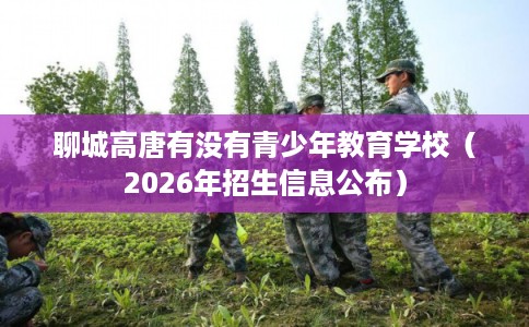 聊城高唐有没有青少年教育学校（2026年招生信息公布）