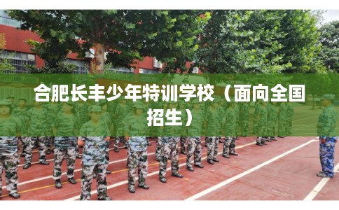 合肥长丰少年特训学校（面向全国招生）