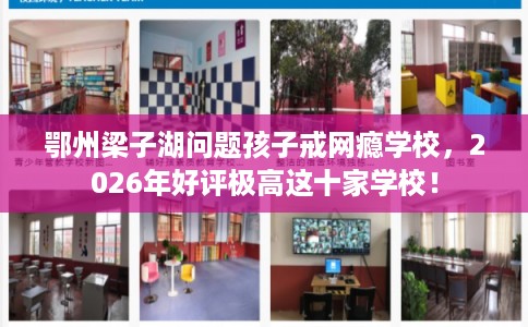 鄂州梁子湖问题孩子戒网瘾学校，2026年好评极高这十家学校！