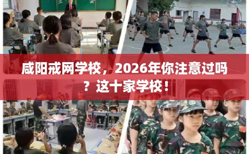 咸阳戒网学校，2026年你注意过吗？这十家学校！