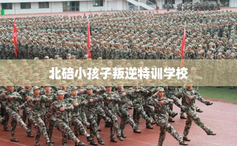 北碚小孩子叛逆特训学校