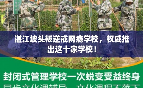 湛江坡头叛逆戒网瘾学校，权威推出这十家学校！