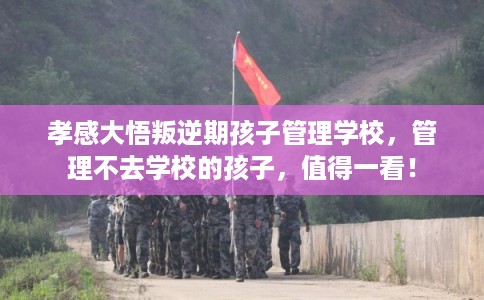 孝感大悟叛逆期孩子管理学校,管理不去学校的孩子,值得一看! 孝感大悟叛逆期孩子管理学校,管理不去学校的孩子,值得一看!