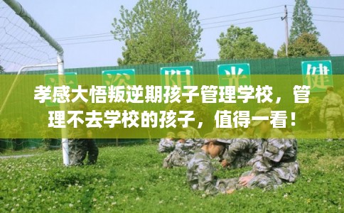 孝感大悟叛逆期孩子管理学校，管理不去学校的孩子，值得一看！