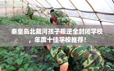 秦皇岛北戴河孩子叛逆全封闭学校,年度十佳学校推荐! 秦皇岛北戴河孩子叛逆全封闭学校,年度十佳学校推荐!