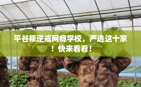 平谷叛逆戒网瘾学校，严选这十家！快来看看！