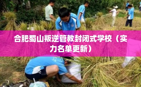 合肥蜀山叛逆管教封闭式学校（实力名单更新）