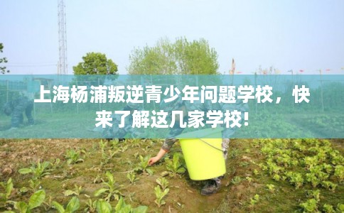 上海杨浦叛逆青少年问题学校，快来了解这几家学校!