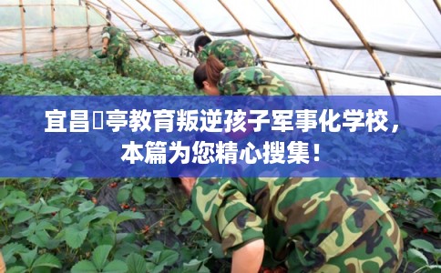 宜昌猇亭教育叛逆孩子军事化学校，本篇为您精心搜集！