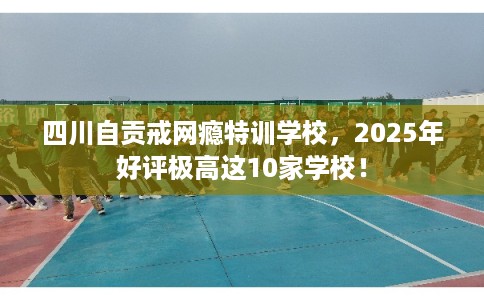 四川自贡戒网瘾特训学校，2025年好评极高这10家学校！