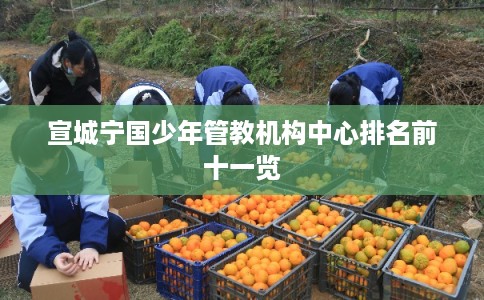 宣城宁国少年管教机构中心排名前十一览