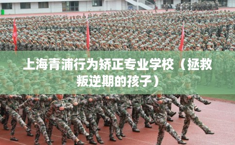 上海青浦行为矫正专业学校（拯救叛逆期的孩子）