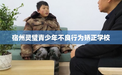 宿州灵璧青少年不良行为矫正学校