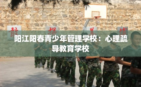 阳江阳春青少年管理学校：心理疏导教育学校