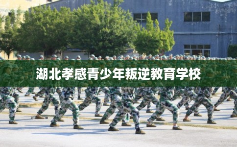 湖北孝感青少年叛逆教育学校 湖北孝感青少年叛逆教育学校