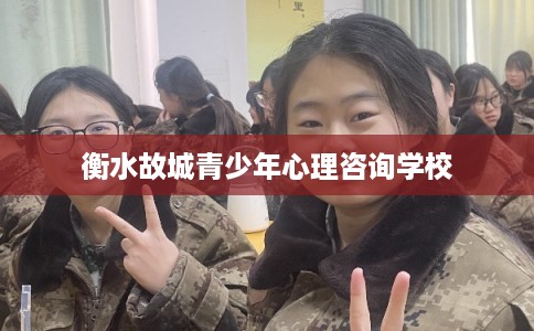 衡水故城青少年心理咨询学校