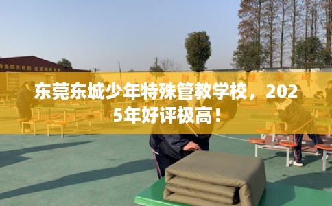 东莞东城少年特殊管教学校，2025年好评极高！