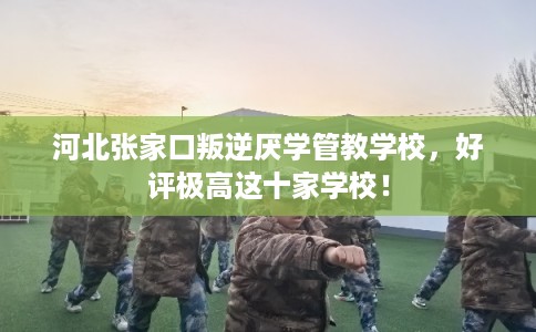 河北张家口叛逆厌学管教学校,好评极高这十家学校! 河北张家口叛逆厌学管教学校,好评极高这十家学校!