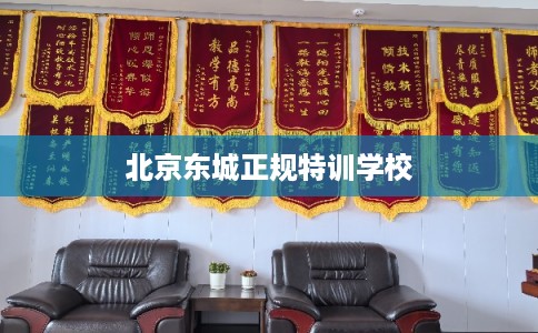 北京东城正规特训学校